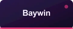 Baywin logo