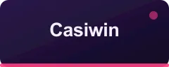 Casiwin logo
