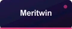 Meritwin logo