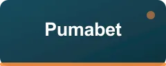 Pumabet logo